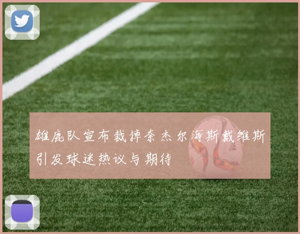 雄鹿队宣布裁掉奈杰尔海斯戴维斯引发球迷热议与期待
